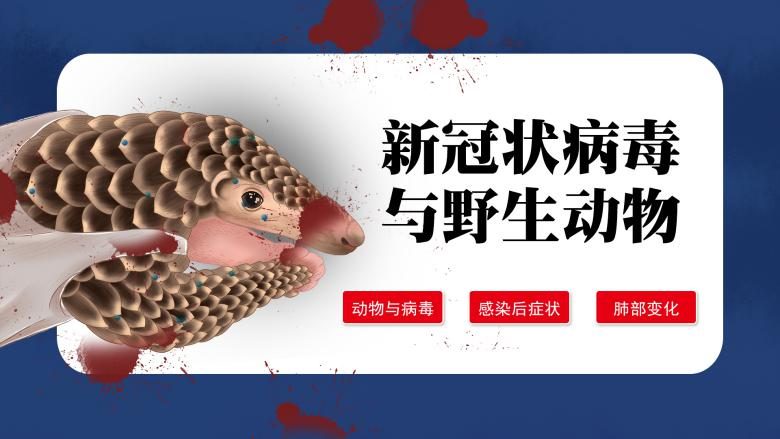 新型冠状病毒与野外动物知识学习系统