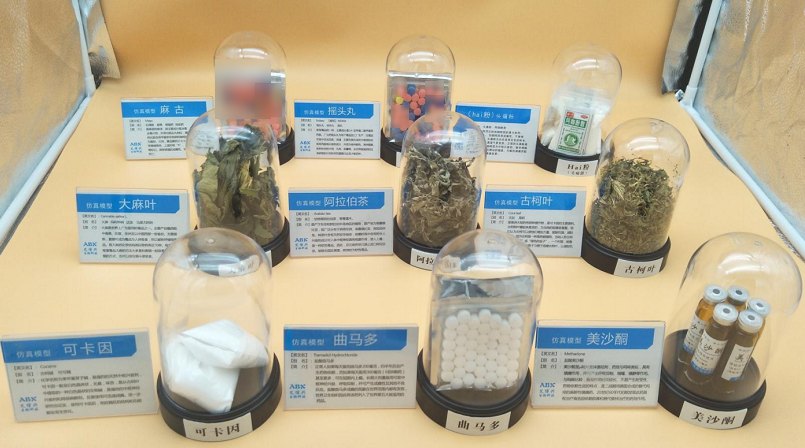 Simulated Drug Models