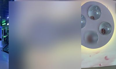 Interaktywny system rozwoju życia płodowego