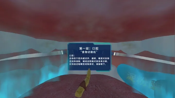 VR消化系统演示