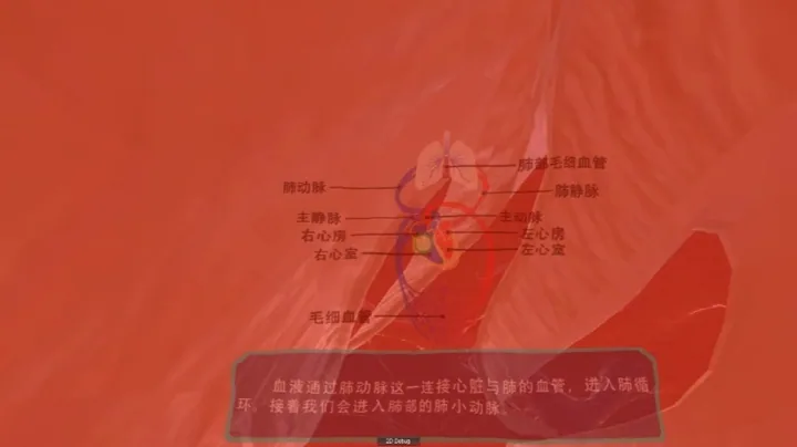 VR血液循环系统漫游（观影版）